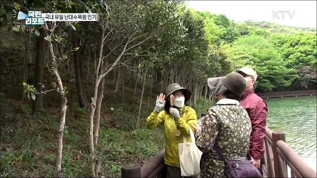 국내 첫 국립난대수목원 관광객 늘어