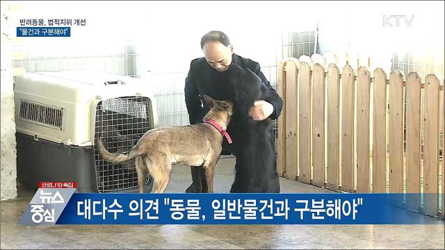 '반려동물' 법적지위 개선 논의···"물건과 구분"