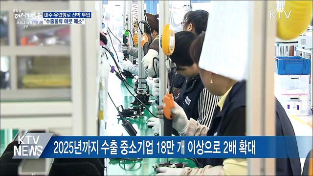 미주·유럽항로에 선박 투입···"수출물류 애로 해소"