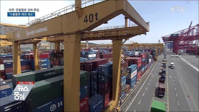 미주·유럽항로에 선박 투입···"수출물류 애로 해소"