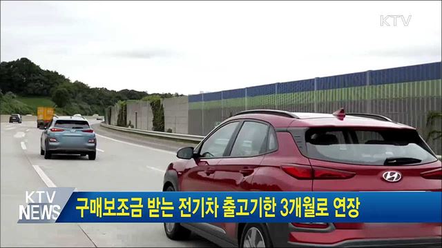 구매보조금 받는 전기차 출고기한 3개월로 연장