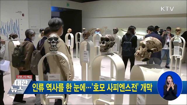 인류 역사를 한 눈에···'호모 사피엔스전' 개막