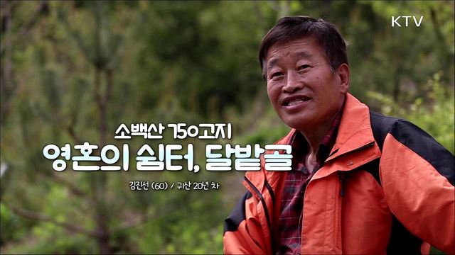 귀농다큐 살어리랏다 시즌4