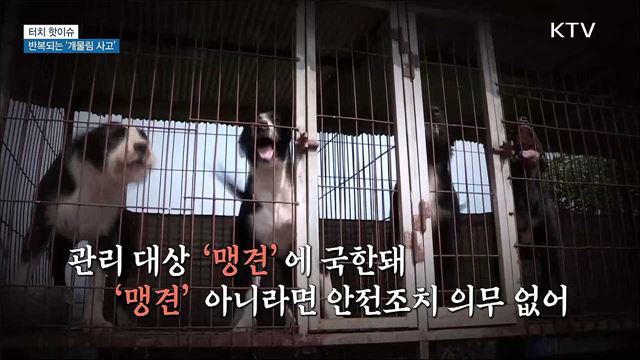 반복되는 '개물림 사고'···"관리 대상 확대해야" [터치 핫이슈]