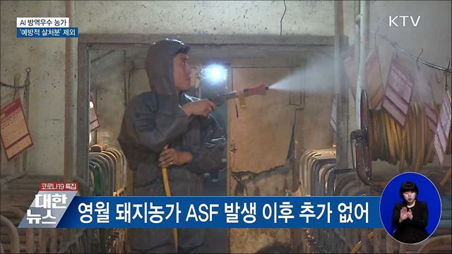 AI 방역 우수농가 '예방적 살처분' 제외