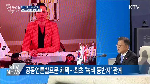한·덴마크 정상회담···"녹색협력 새 장 열 것"