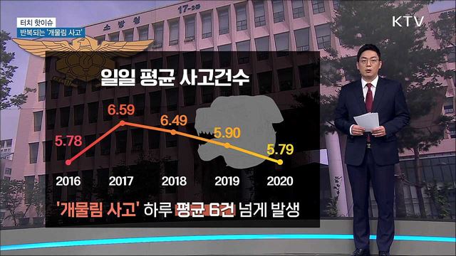 반복되는 '개물림 사고'···"관리 대상 확대해야" [터치 핫이슈]