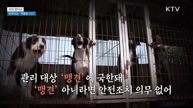 반복되는 '개물림 사고'···"관리 대상 확대해야" [터치 핫이슈]