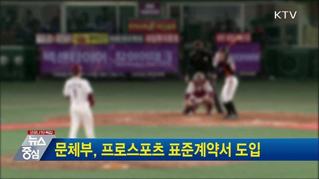 문체부, 프로스포츠 표준계약서 도입
