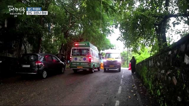 '코로나 지옥' 인도, 들개들이 시신 훼손 [월드 투데이]