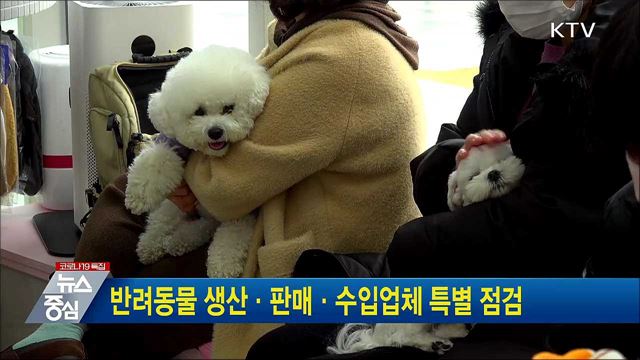 반려동물 생산·판매·수입업체 특별 점검