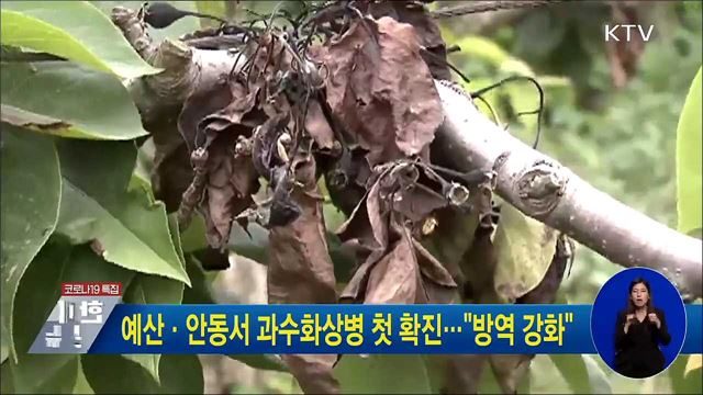 예산·안동서 과수화상병 첫 확진···"방역 강화"
