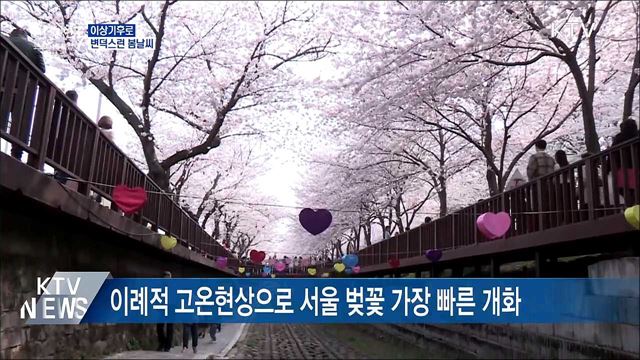 고온·한파·비···'이상기후'로 변덕스러운 봄날씨