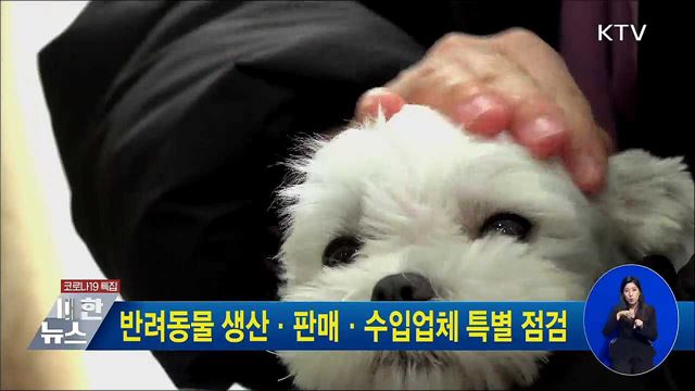 반려동물 생산·판매·수입업체 특별 점검