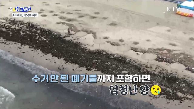 해양 쓰레기! 눈에 보이는게 전부가 아니다 [S&News]