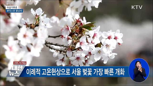 고온·한파·비···'이상기후'로 변덕스러운 봄날씨