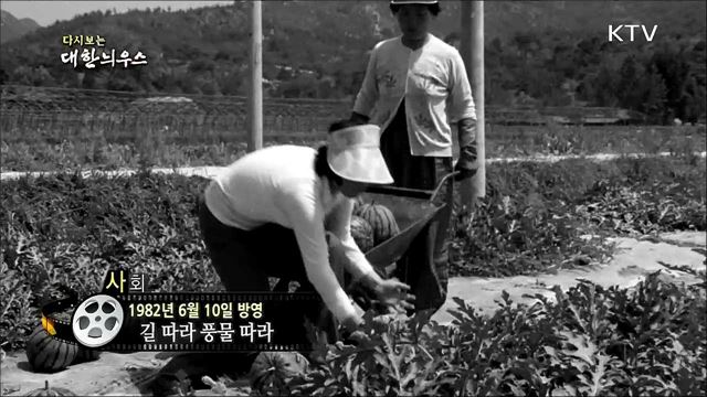 다시보는 대한늬우스 (82. 6. 10)