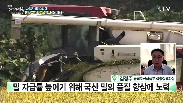 국제 곡물가격 급등, 정부 식량 곳간 바닥? [사실은 이렇습니다]