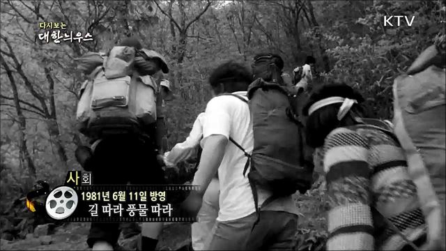 다시보는 대한늬우스 (81. 6. 11)