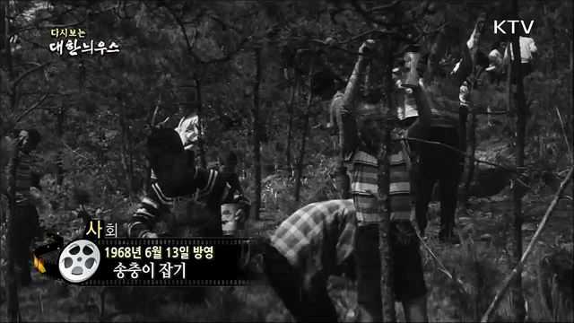 다시보는 대한늬우스 (68. 6. 13)