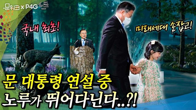 각국 정상이 지켜본 문 대통령 연설 중 노루가 뛰고 새가 날아다닌다?! 어린이 손잡고 입장해 미래세대에 희망 메시지 전한 2021 P4G 서울 녹색미래 정상회의 개회사