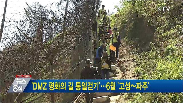 'DMZ 평화의길 통일걷기'···6월 '고성~파주'
