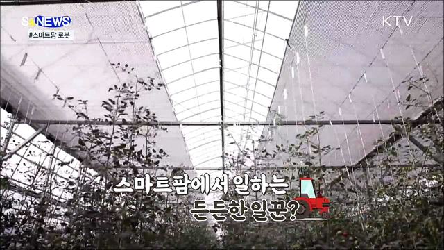 농가의 든든한 일꾼 '스마트팜' 국산 로봇 [S&News]