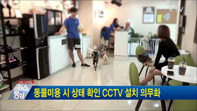 동물미용 시 상태 확인 CCTV 설치 의무화