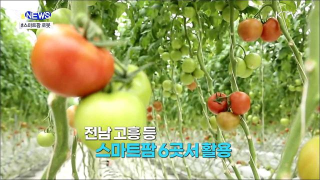 농가의 든든한 일꾼 '스마트팜' 국산 로봇 [S&News]