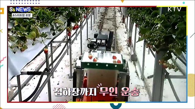 농가의 든든한 일꾼 '스마트팜' 국산 로봇 [S&News]