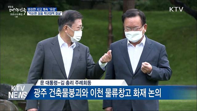 "후진적 사고 악순환 끊을 특단대책 절실"