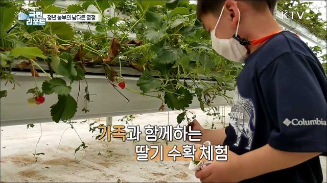 대기업 출신 청년 농부 '스마트 농장'에 열정