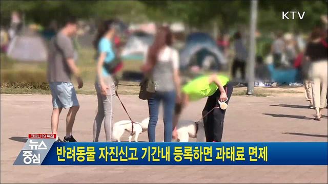 반려동물 자진신고 기간내 등록하면 과태료 면제