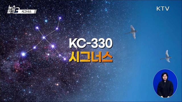 시그너스 [뉴스링크]