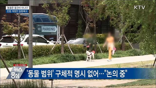 '동물은 물건이 아니다'···민법 개정안 입법예고