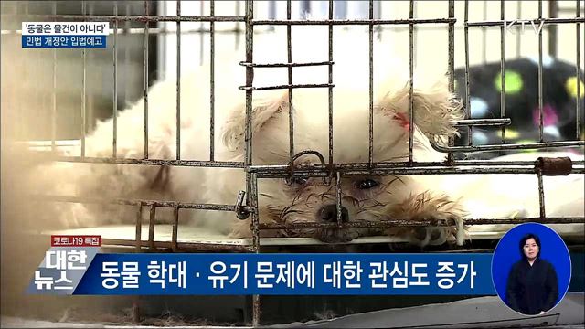 '동물은 물건이 아니다'···민법 개정안 입법예고