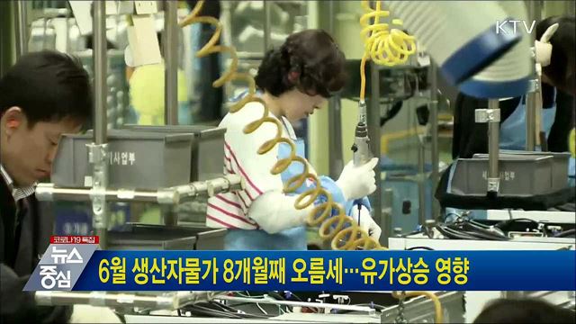 6월 생산자물가 8개월째 오름세···유가상승 영향