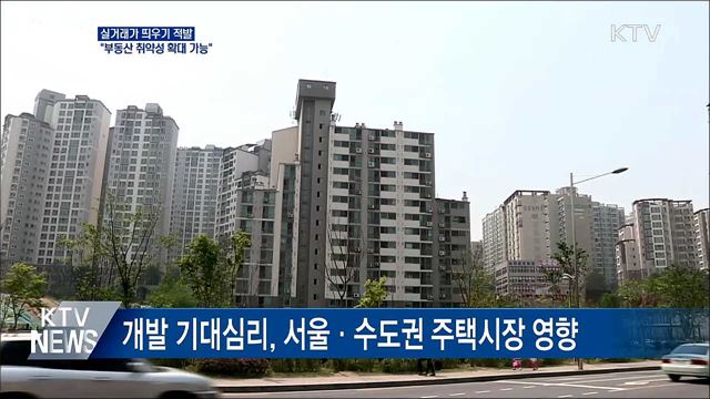 '실거래가 띄우기' 적발···"부동산 취약성 확대 가능"