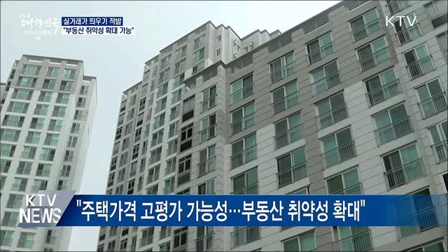 '실거래가 띄우기' 적발···"부동산 취약성 확대 가능"