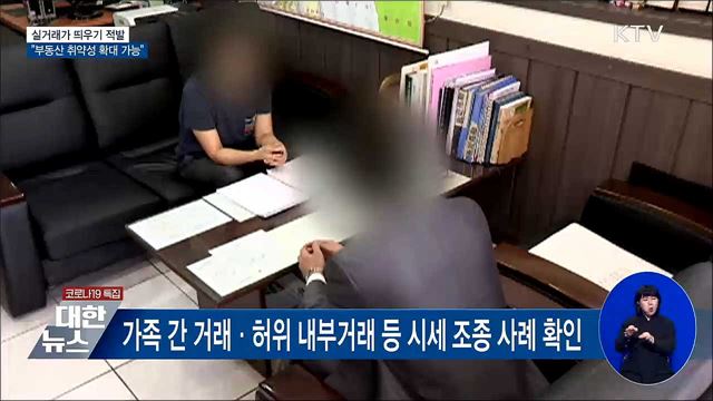 '실거래가 띄우기' 적발···"부동산 취약성 확대 가능"