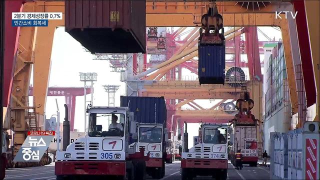 2분기 경제성장률 0.7%···민간소비 회복세