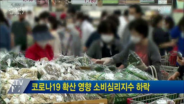 코로나19 확산 영향 소비심리지수 하락