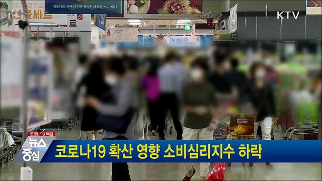 코로나19 확산 영향 소비심리지수 하락