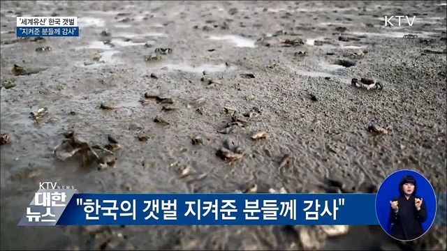 '세계유산' 한국의 갯벌···"지켜준 분들께 감사"