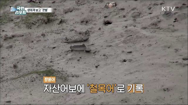 세계자연유산 갯벌, 환경 보존 속 생태관광 기대