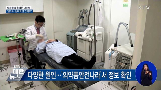 "긁거나 침바르면 안돼요"···벌레물림 대처법