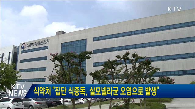 식약처 "집단 식중독, 살모넬라균 오염으로 발생"