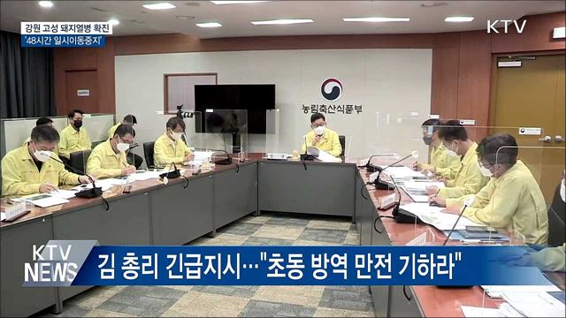 강원 고성 ASF 확진···'48시간 일시이동중지'