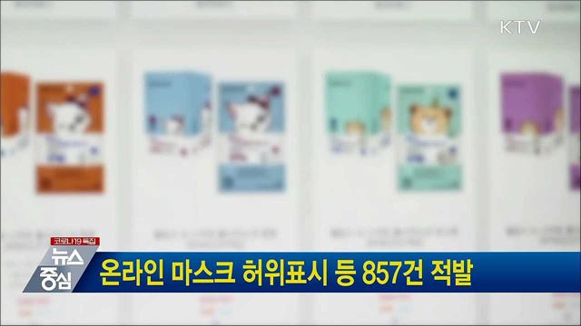 온라인 마스크 허위표시 등 857건 적발