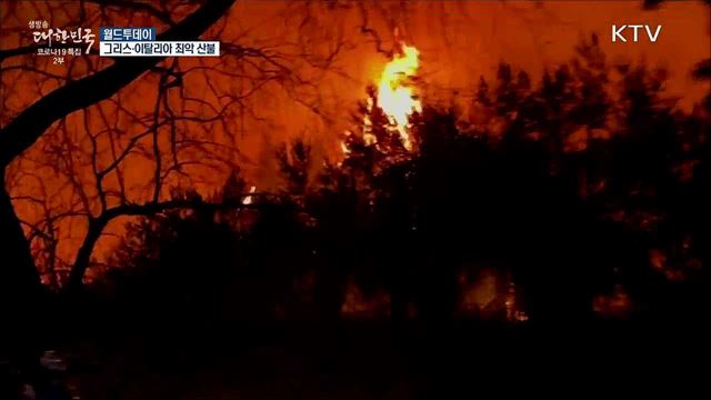그리스·이탈리아 산불 '심각'···배타고 필사의 탈출 [월드 투데이]